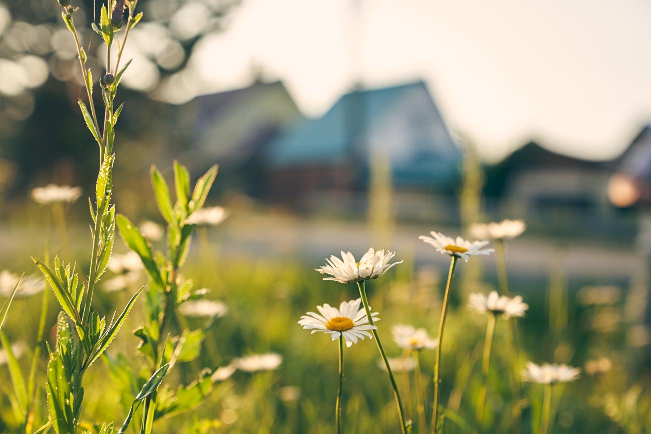 Kingston is rich in natural green spaces, with parks, trails, and waterfront areas throughout the city. These outdoor areas offer residents plenty of opportunities for walking, cycling, picnicking, and enjoying nature year-round.